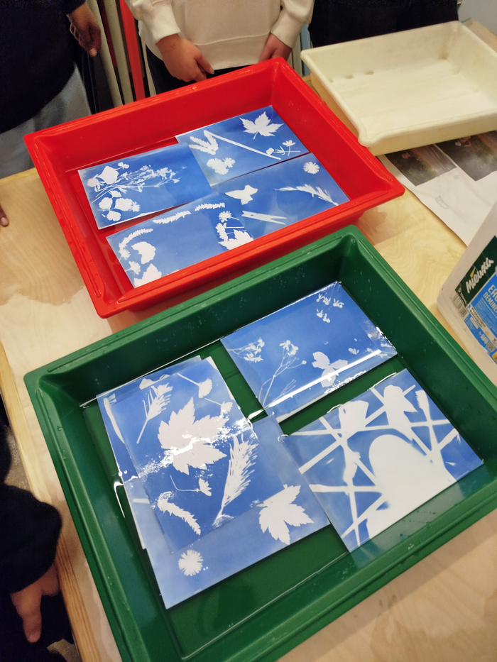 Atelier cyanotype pour les groupes, Centre photographique d&rsquo;Île-de-France, Pontault-Combault