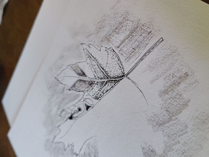 Atelier de dessin botanique pour adultes, 45 Rue Bichat, 75010 Paris, France, Paris