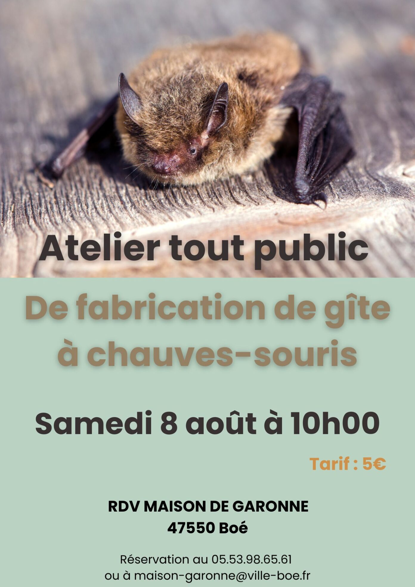 Atelier de fabrication d’abri à chauves-souris Maison de Garonne Boé