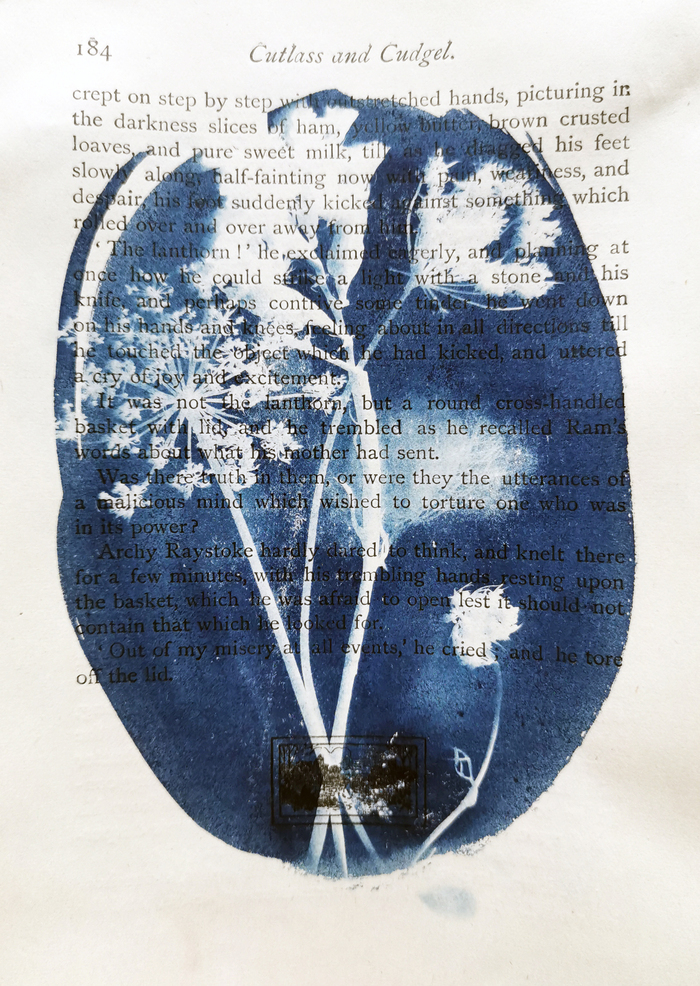 Atelier d&rsquo;initiation au cyanotype, Centre du Patrimoine Arménien, Valence