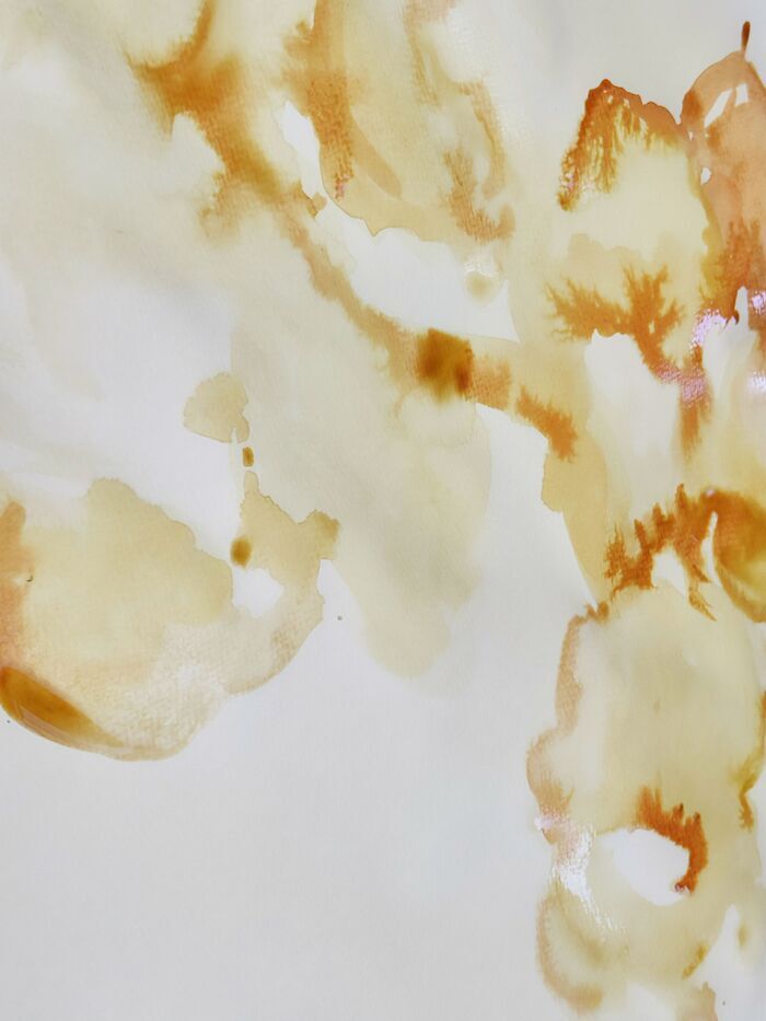 Atelier « Encre du vivant », 45 Rue Bichat, 75010 Paris, France, Paris