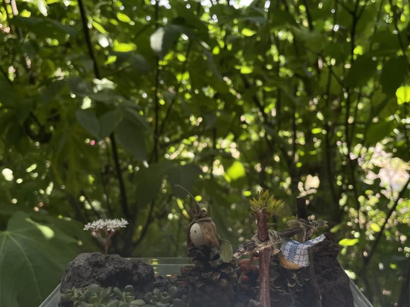Atelier enfant 5-10 ans Mini-jardin Laquenexy