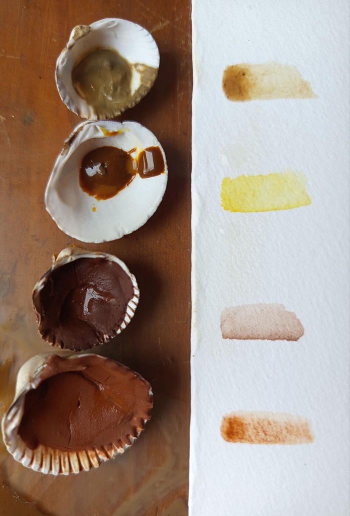 Atelier Fabrication d&rsquo;aquarelles nature, La pepiterre, Sarzeau