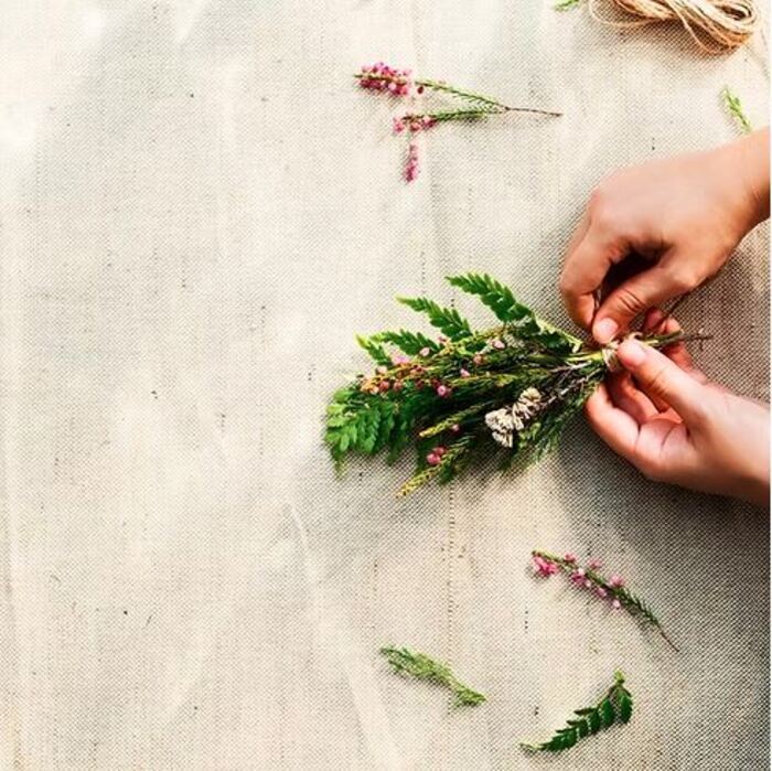 Atelier jardinage : Herbier – Récolter des plantes et les préparer au séchage, Jardin 21, Paris