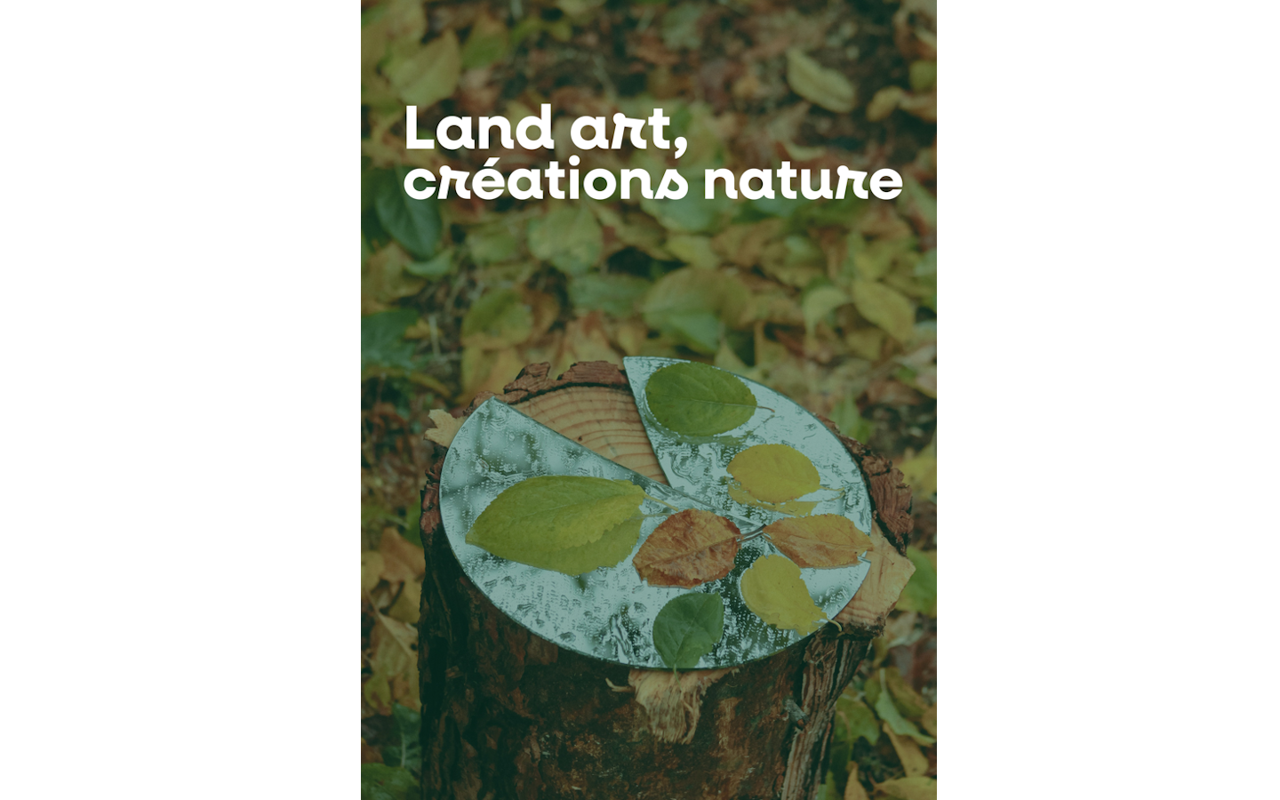Atelier Land Art (créations nature) Chalets d'Iraty Larrau 2026-08-21