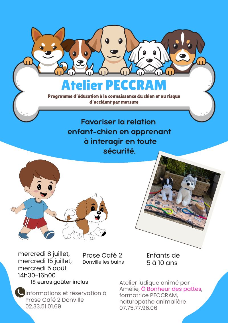 Atelier ludique pour comprendre le comportement canin Prose Café 2 Donville-les-Bains