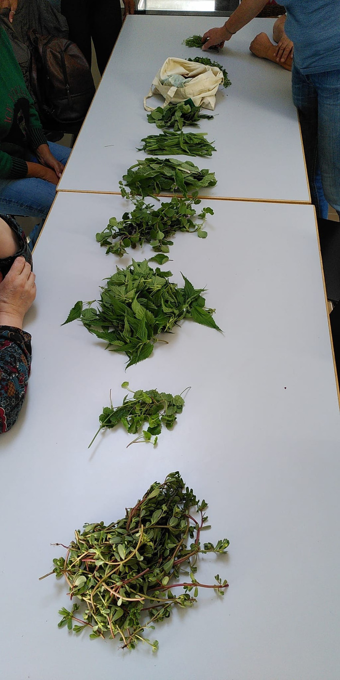 Atelier Mieux Vivre au Naturel - Balade-cueillette et confection d'un apéritif La julienne Plan-les-Ouates
