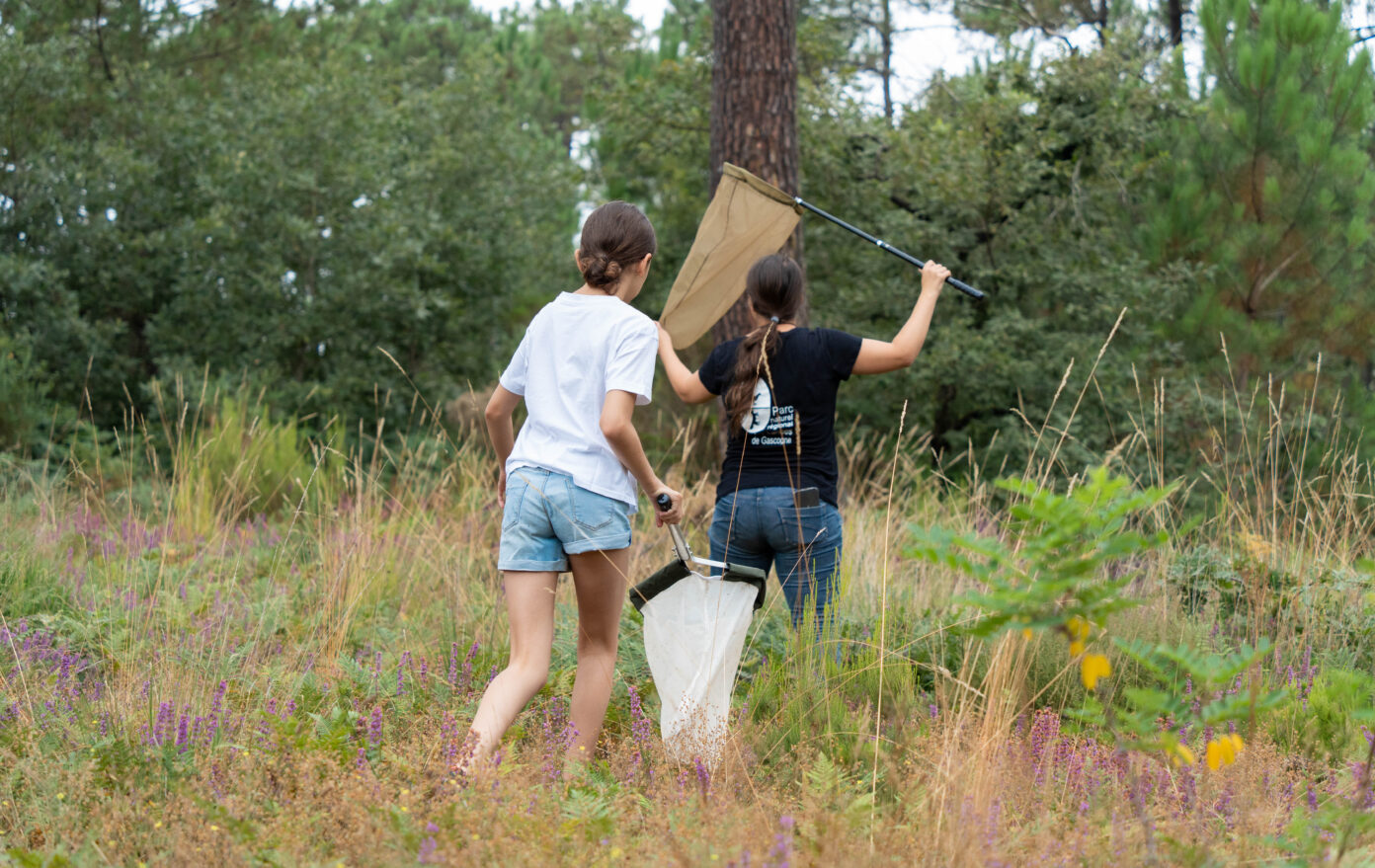 Atelier nature au Lescarret route de Balanos Le Teich