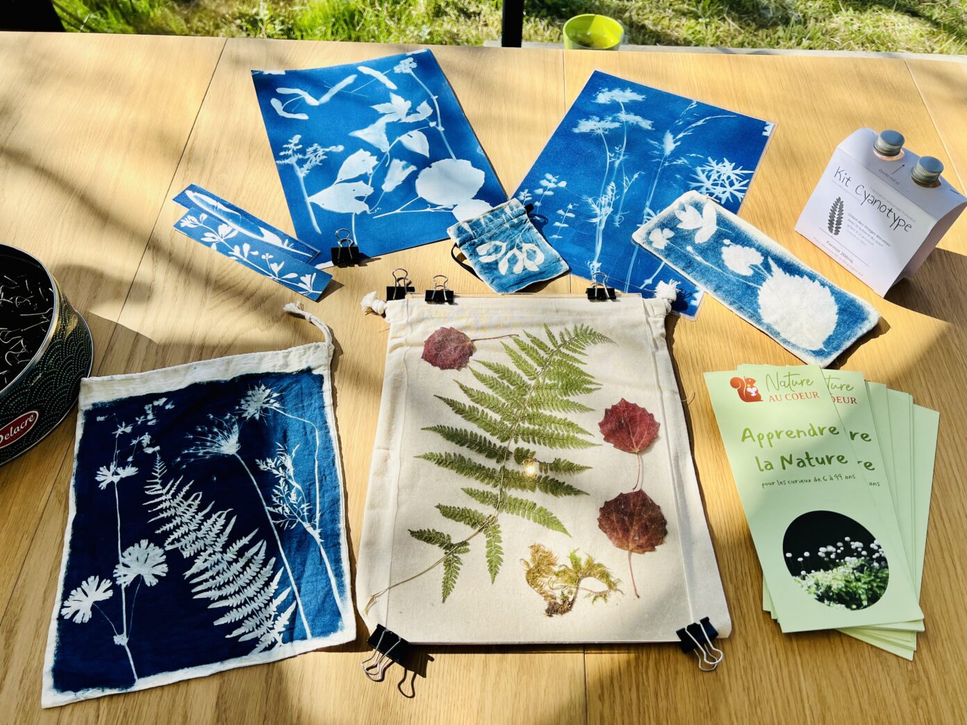 Atelier nature Herbier cyanotype Nolay