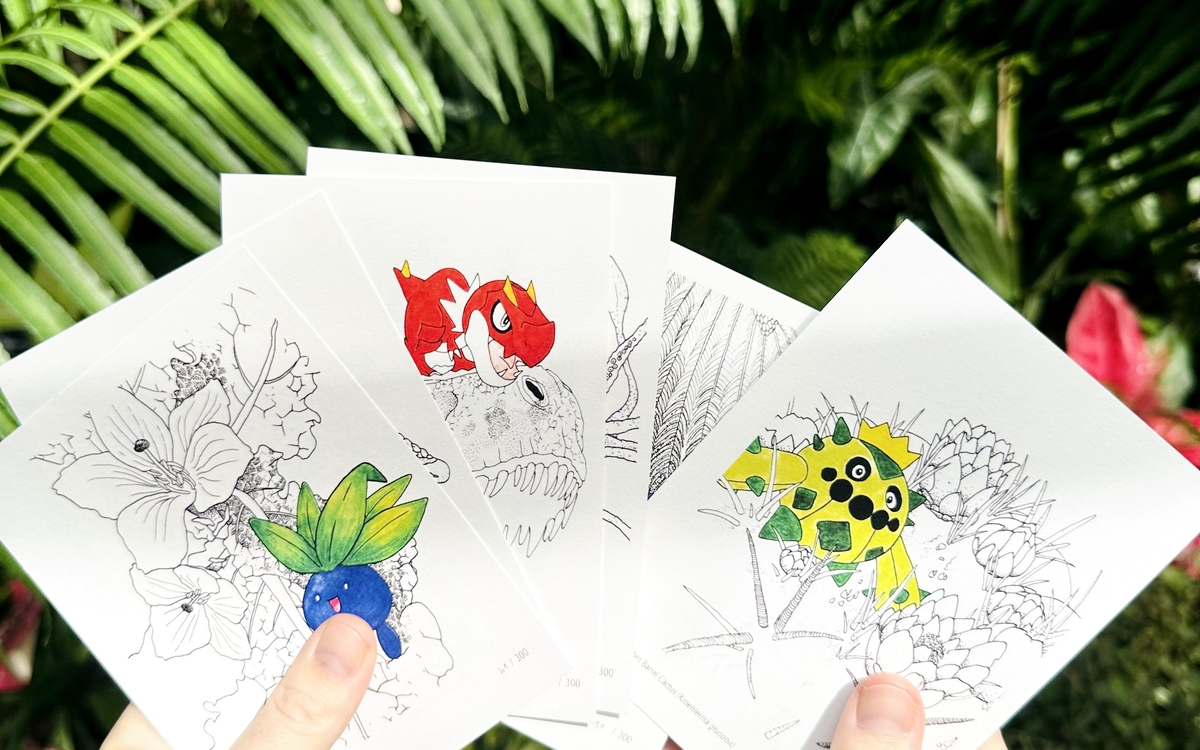 Atelier Pokémon et biodiversité – Dessiner les espèces qui inspirent les Pokémon Médiathèque James Baldwin Paris