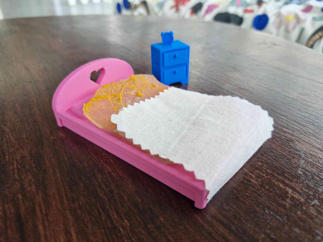 Atelier Réveil du blob Le Dôme Caen