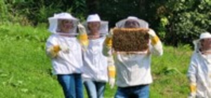 Atelier ruches sur la vie des abeilles, Domaine d&rsquo;Ors, Châteaufort