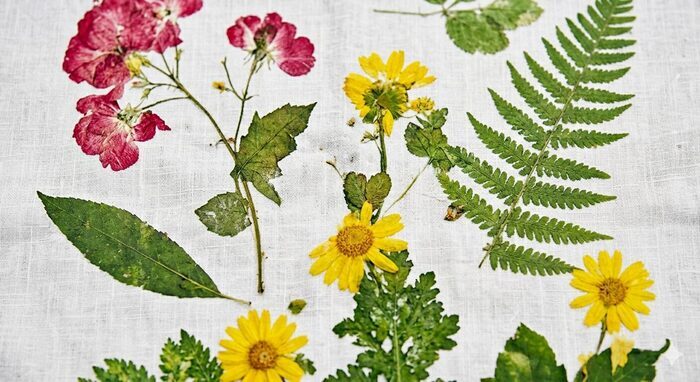 Atelier tataki zomé pour enfants et adultes !, Musée La Manufacture, Roubaix