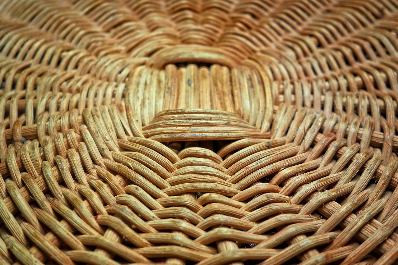 Atelier vannerie répare ton panier 1658 Route de Cussac Oradour-sur-Vayres 2026-07-31