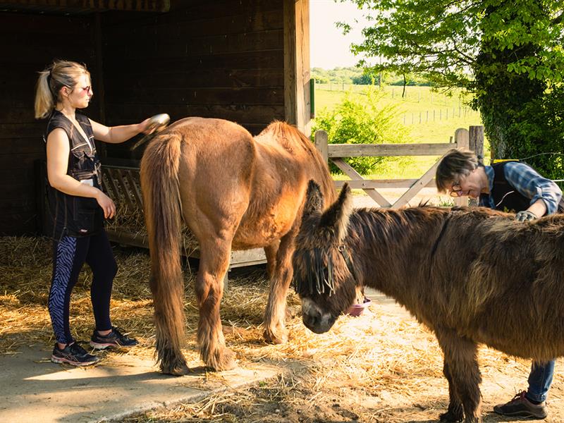 Atelier-visite Petit soigneur animalier à la Hardonnerie  Vauquois