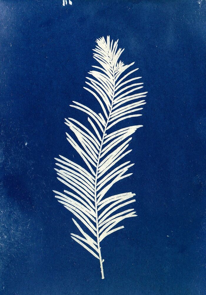 Ateliers cyanotype – à partir de 6 ans, Archives départementales du Loiret, Orléans