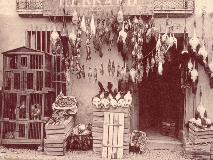Ateliers pédagogiques autour de la photographie, Musée cévenol, Le Vigan