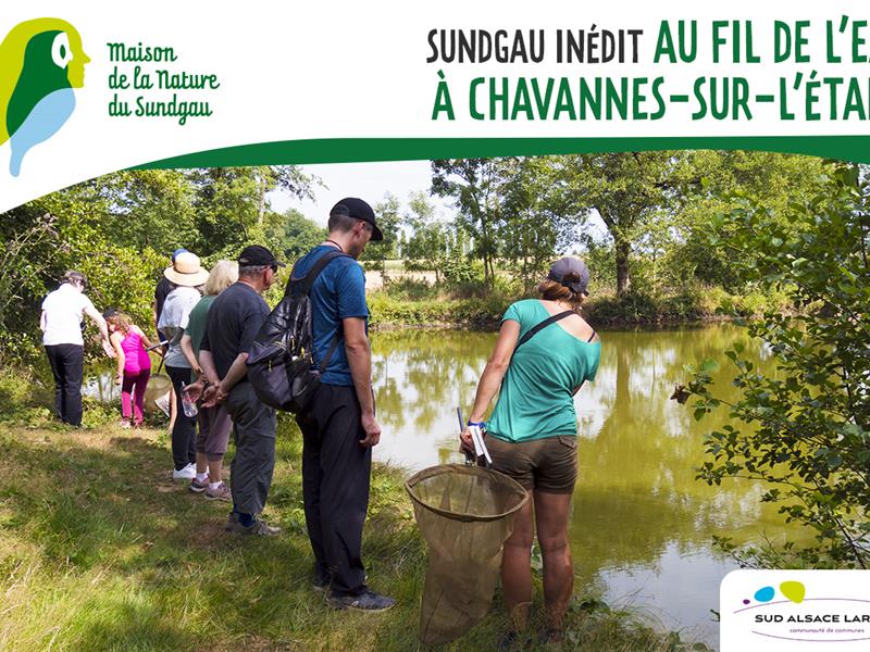 Au fil de l'eau à Chavannes/l'Étang 7 rue de Bellefontaine Chavannes-sur-l'Étang 2026-08-20