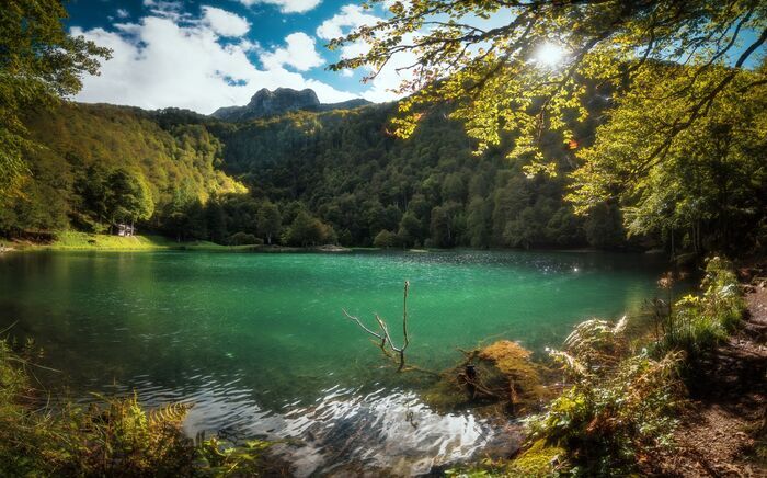 Bain de forêt guidé, Lac de Bethmale, Bethmale