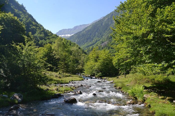 Bain de forêt guidé, Le Ribérot, 09800 Bordes-Uchentein, France, Bordes-Uchentein