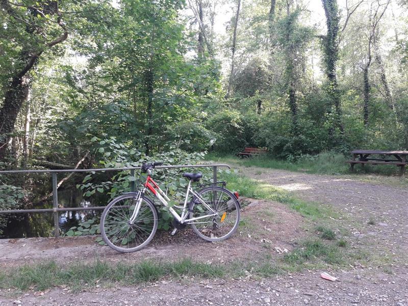 Balade à vélo entre Ried et Rhin Schœnau
