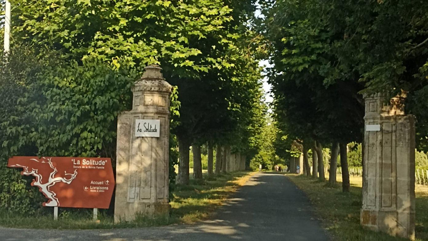 Balade au Domaine de La Solitude Route de la Solitude Martillac