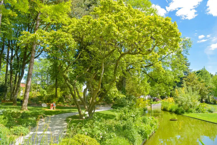 Balade au parc Victor-Thuillat, Parc Victor Thuillat, Limoges