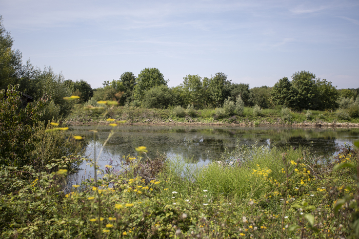 Balade botaniste au parc de la Haute-Île, Parc de la Haute-Ile, Neuilly-sur-Marne