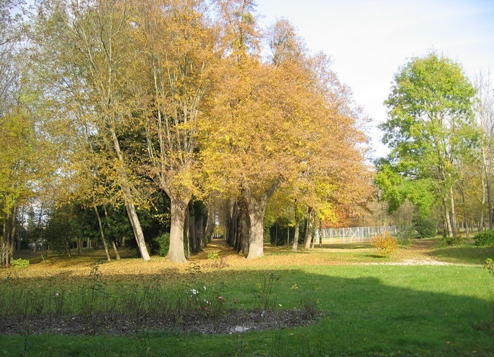 Balade commentée d’un patrimoine naturel tricentenaire, Domaine de la Burie, Saint-Julien-les-Villas