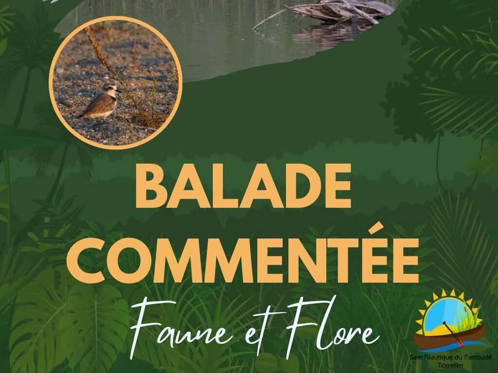 BALADE COMMENTÉE, FAUNE ET FLORE  Torreilles