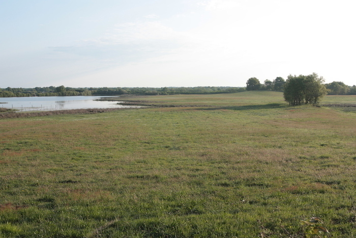 Balade-conférence sur l&rsquo;histoire des étangs et des paysages anciens de la Brenne, Site des Étangs Foucault, Rosnay