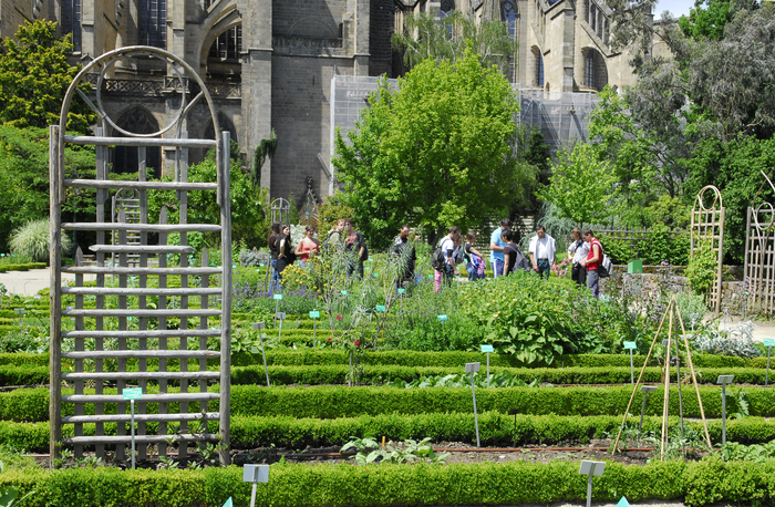 Balade dans les jardins de l’Évêché, Jardins de l’Évêché, Quartier de la cathédrale, Limoges