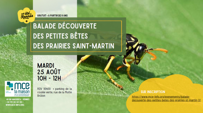 Balade découverte des petites bêtes des prairies Saint-Martin, Parking de la Motte Brûlon (coulée verte), Rennes