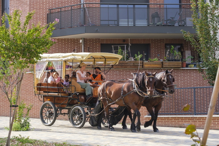 Balade en calèche dans le centre ancien, Salle Ginette Forgues, Castanet-Tolosan