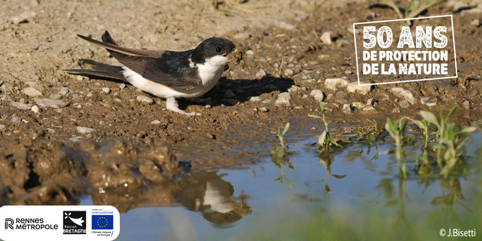 Balade et découverte des espèces protégées du parc de la Morinais, Parc de la Morinais, Saint-Jacques-de-la-Lande