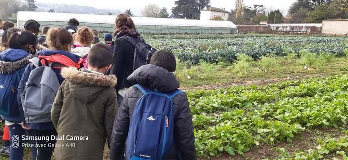 Balade historique commentée des sites maraîchers de la Ferme de l’Abbé Rozier et du CFPH, Ferme pédagogique de l&rsquo;Abbé Rozier, Écully