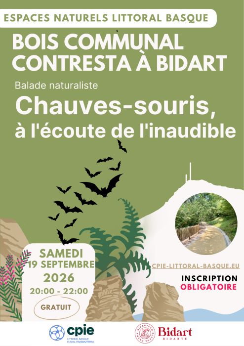 Balade naturaliste Chauves-souris, à l’écoute de l’inaudible à Bidart CPIE Littoral Basque Bidart