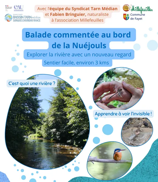 Balade nature au bord de la Nuéjouls  Belmont-sur-Rance