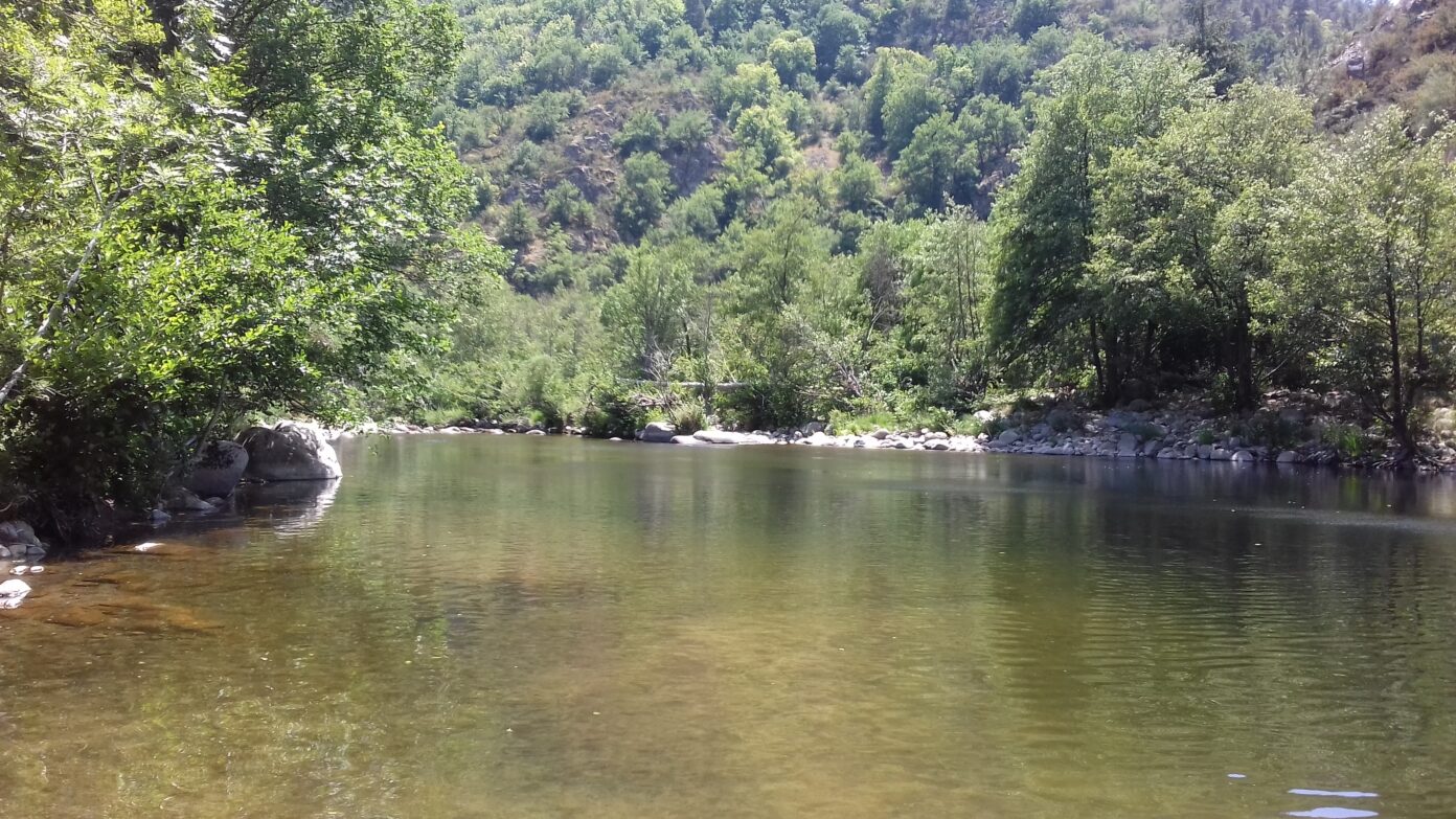 BALADE NATURE AU BORD DU TARN  Gorges du Tarn Causses