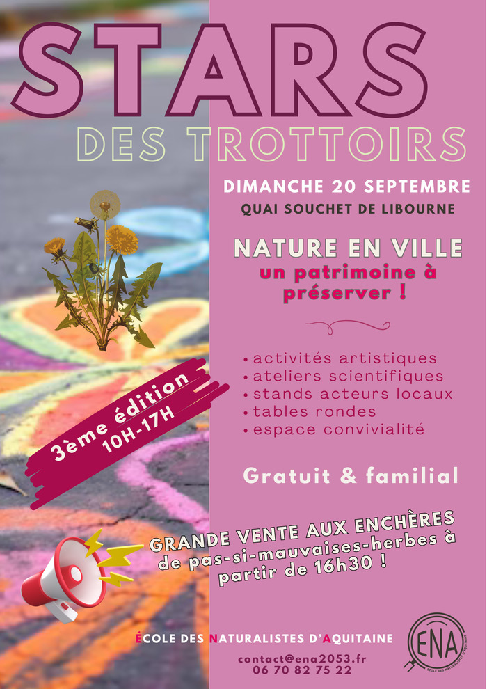 Balade nature en ville : « Stars des trottoirs », Quai Souchet, Libourne