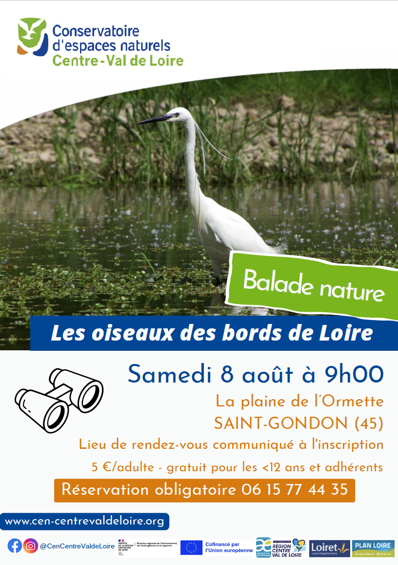 Balade nature Les oiseaux des bords de Loire  Saint-Gondon