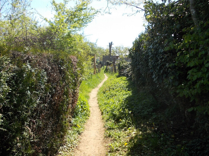 Balade Nature, MJC Lorraine, Vandœuvre-lès-Nancy
