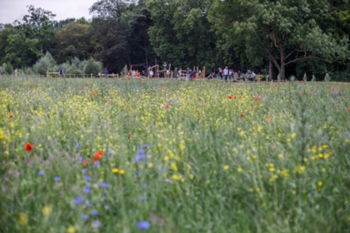Balade sauvage : des plantes à déguster !, Parc de la Citadelle, Lille