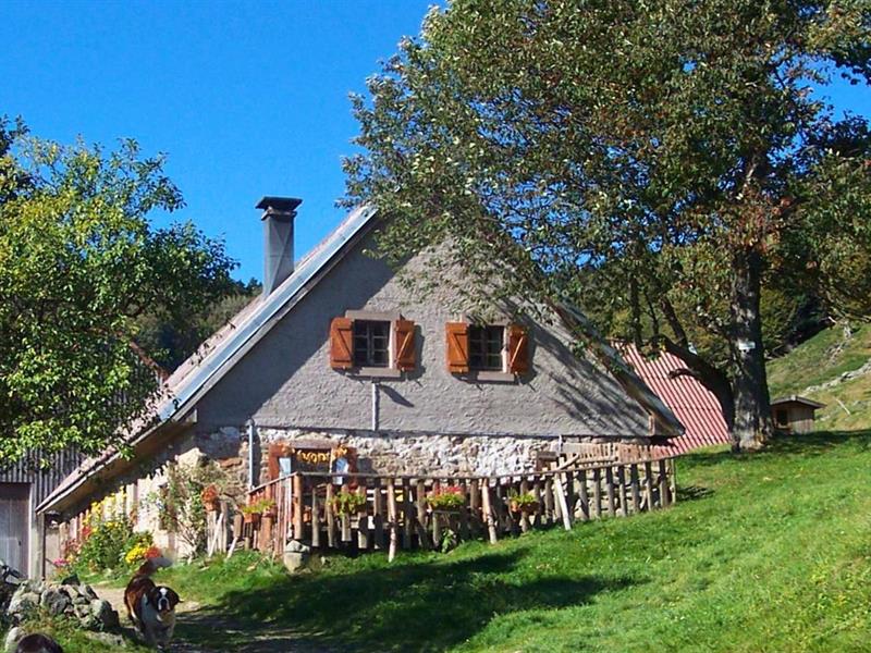 Balade sur les traces des malkers  Sewen