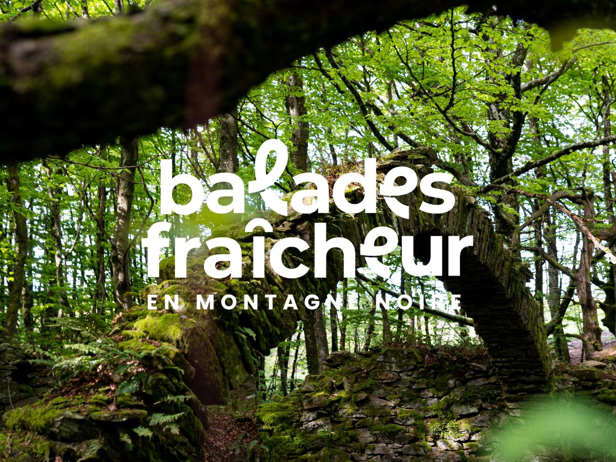 BALADES FRAÎCHEUR SENTIER DES GLACIÈRES Pradelles-Cabardès