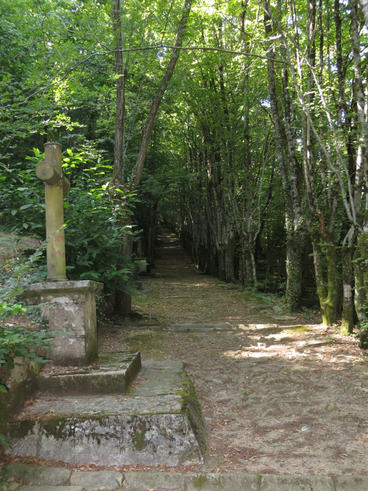 Balades secrètes en Corrèze découverte de la Tourbière de la Bissière Mercœur