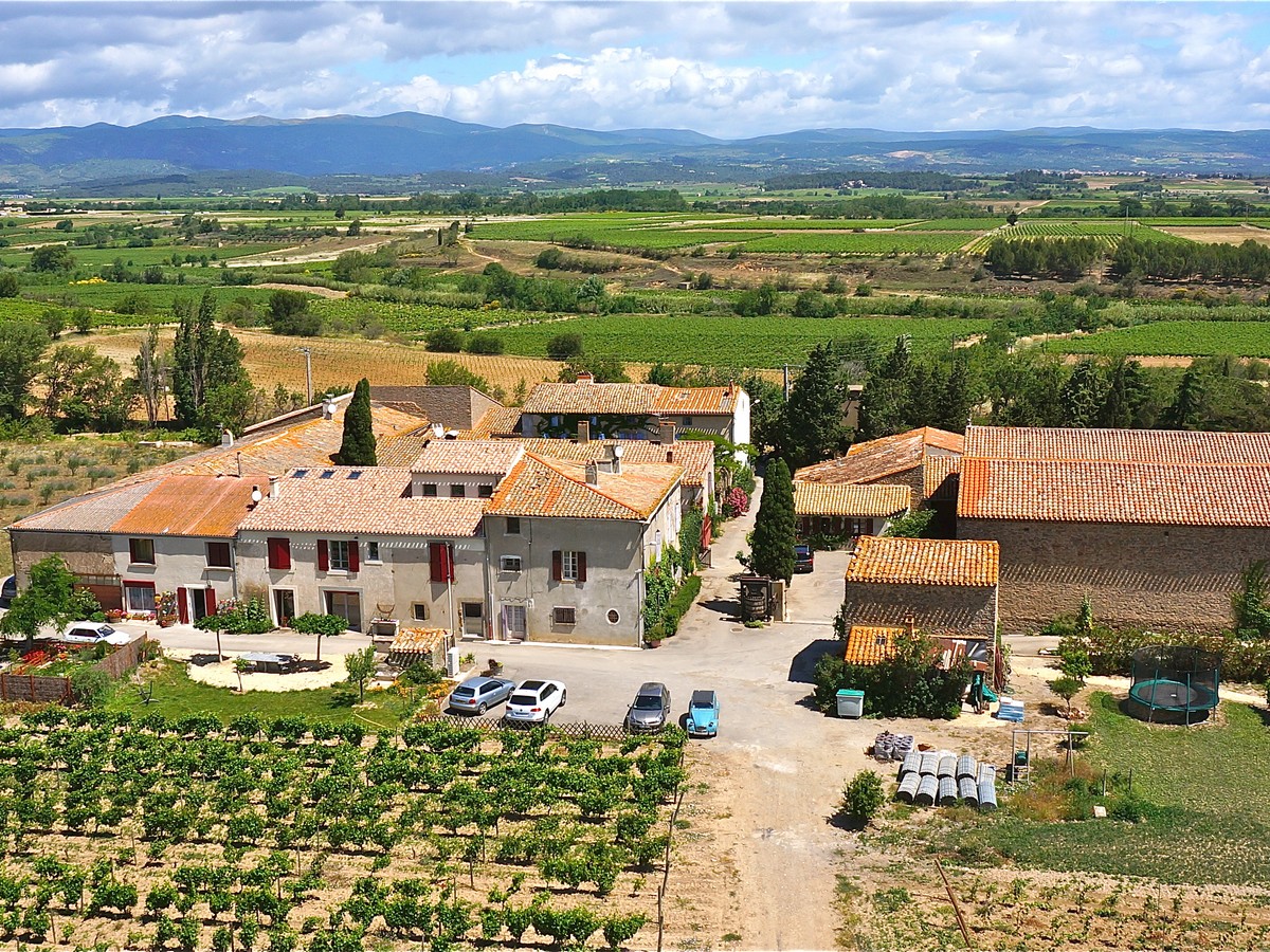 BALADES VIGNERONNES EN GRAND CARCASSONNE DOMAINE DES HOMS Domaine Les Homs Rieux-Minervois 2026-07-29