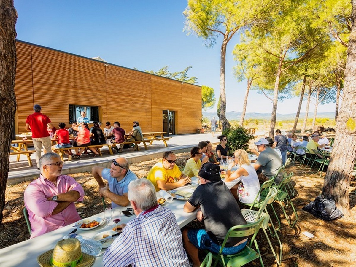 BALADES VIGNERONNES EN GRAND CARCASSONNE DOMAINE DES HOMS Rieux-Minervois 2026-09-13