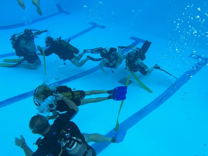 Baptême de plongée et initiation au hockey subaquatique et à l’apnée Centre aquatique La Piscine Châtellerault