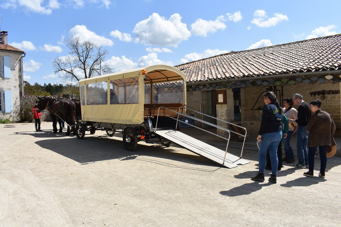 Baptêmes en attelage à l’Asinerie du Baudet du Poitou, Asinerie du Baudet du Poitou, Dampierre-sur-Boutonne